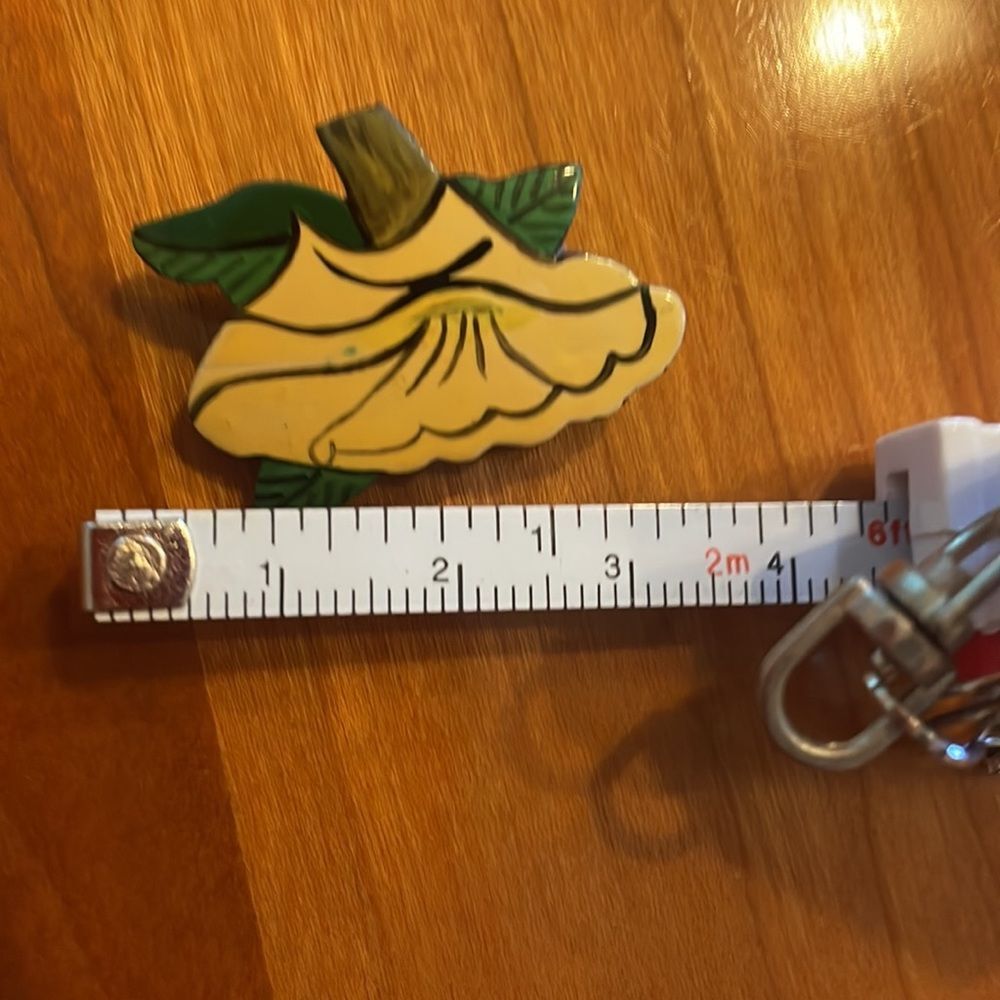 Painted Coconut Shell Pin - Picture 5 of 5